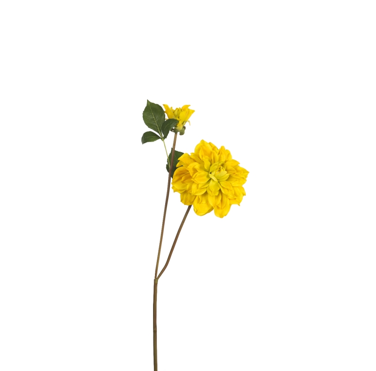 A85C00001