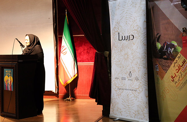 درسا و روز جهانی سافت بال درسا و روز جهانی سافت بال